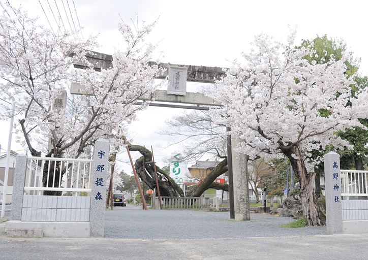 美作國二宮髙野神社 春祭<西部地区>